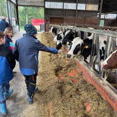 Des enfants de la classe 3a se tiennent devant des vaches laitières.