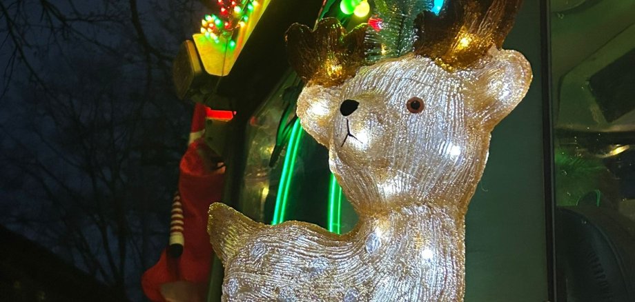 Illuminerte Rudolph.