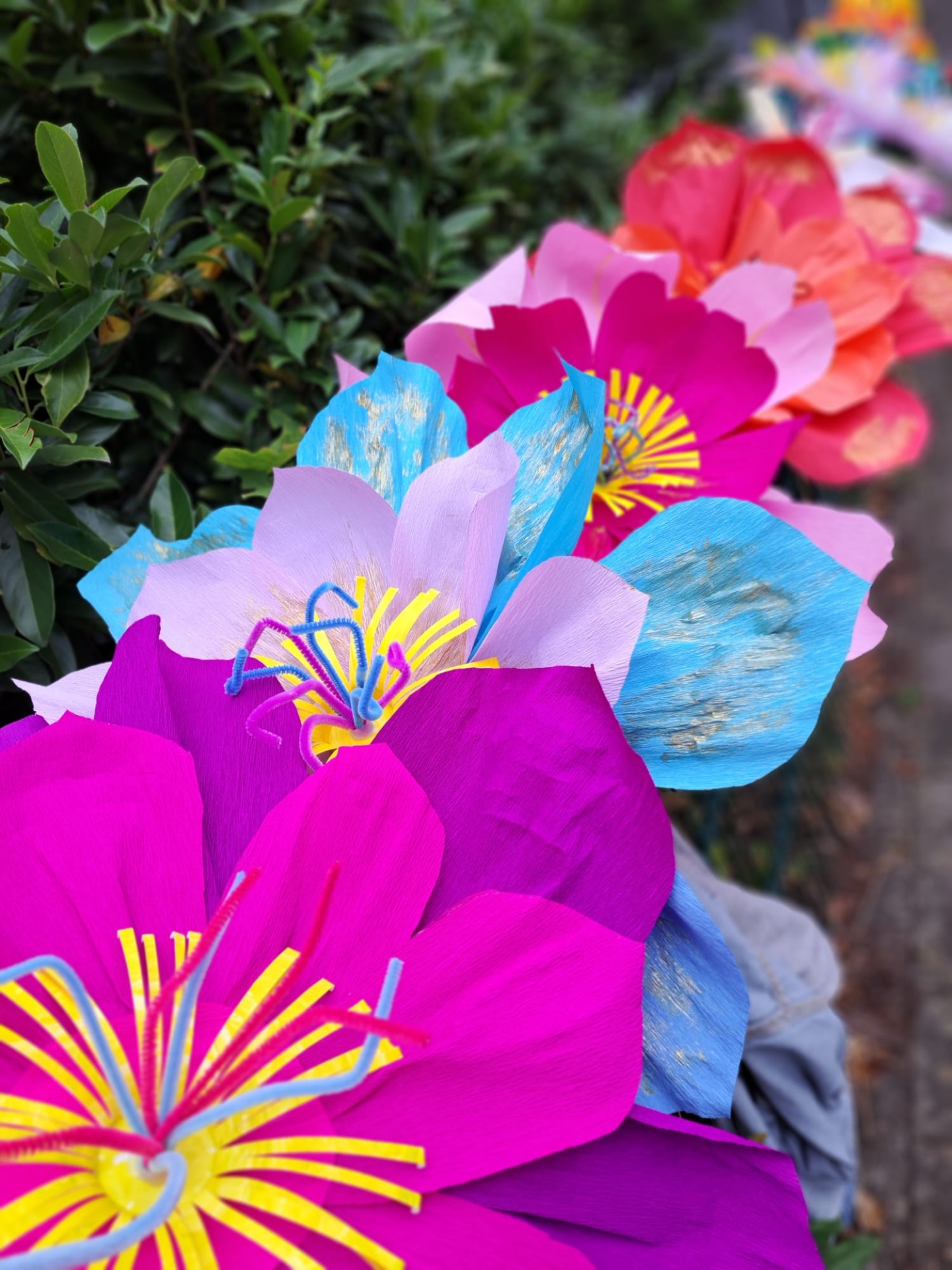 Kleurrijke bloemen van crêpepapier.