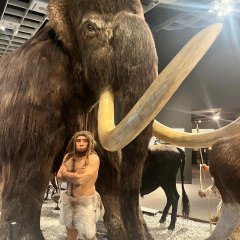 Un mamut și un Neanderthal.